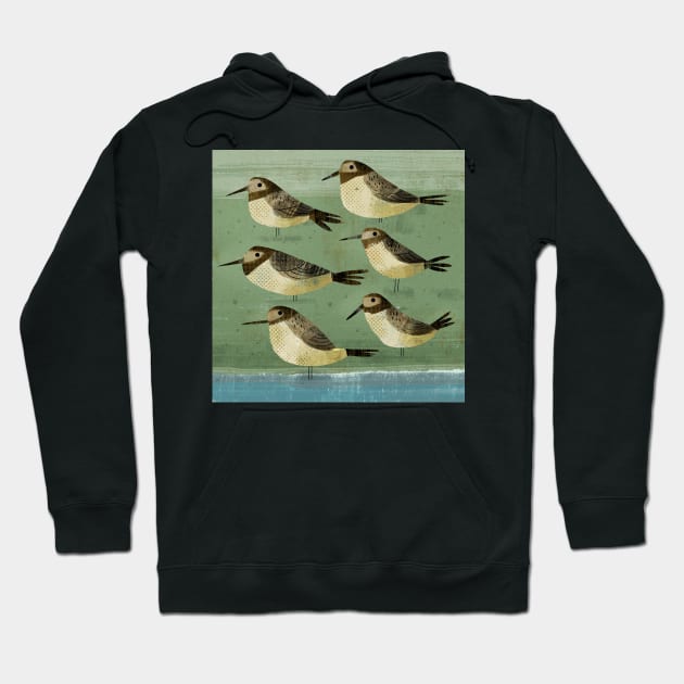 Sea Birds Hoodie by Gareth Lucas